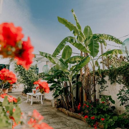 Masseria Agriturismo Il Sorriso Degli Ulivi - Dimora Di Charme Галиполи Екстериор снимка