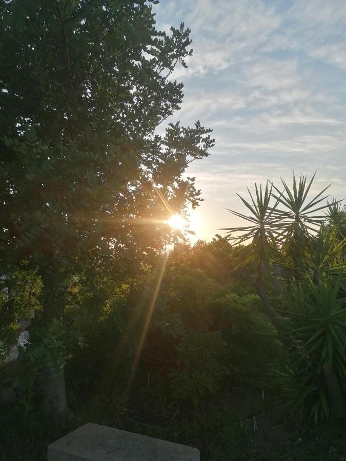Masseria Agriturismo Il Sorriso Degli Ulivi - Dimora Di Charme Галиполи Екстериор снимка