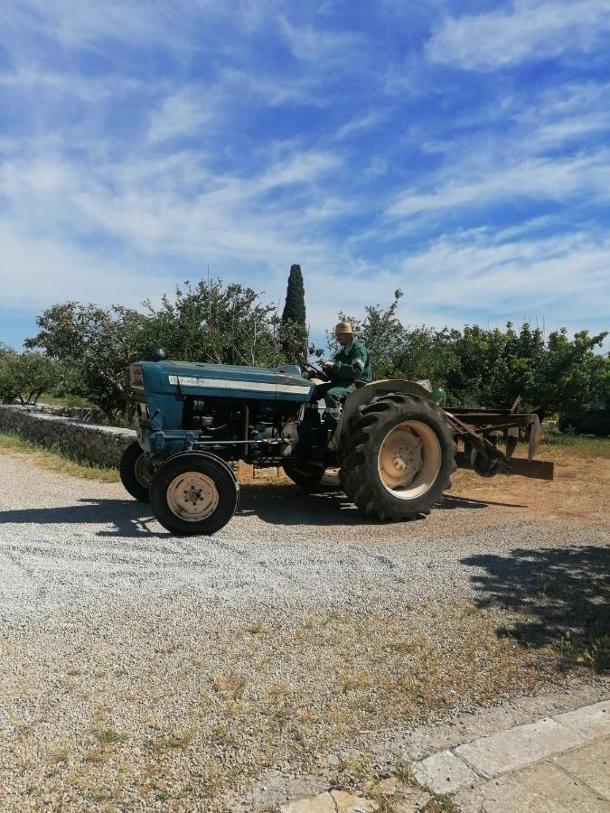 Masseria Agriturismo Il Sorriso Degli Ulivi - Dimora Di Charme Галиполи Екстериор снимка