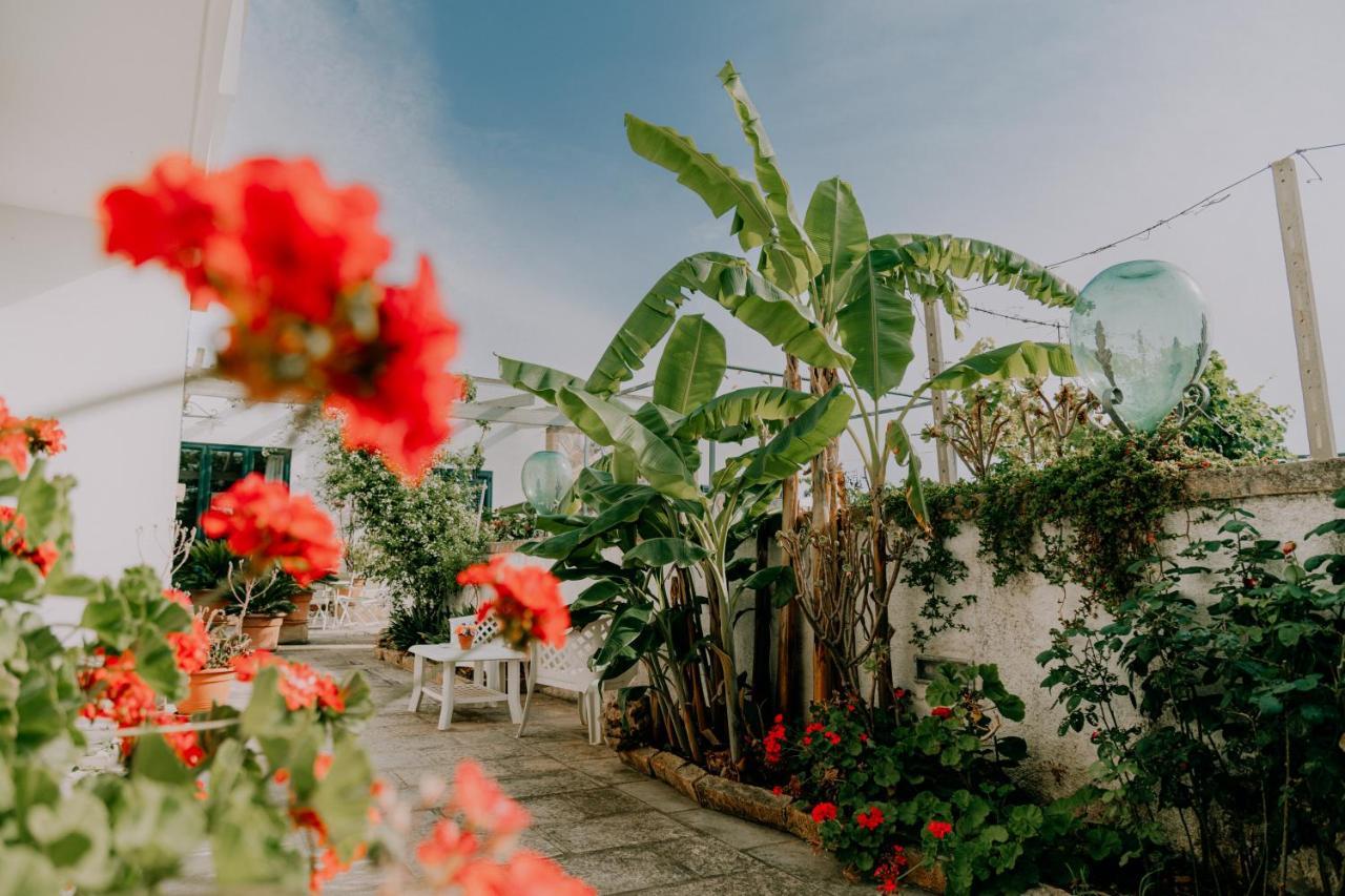 Masseria Agriturismo Il Sorriso Degli Ulivi - Dimora Di Charme Галиполи Екстериор снимка