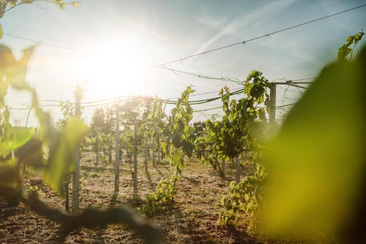 Masseria Agriturismo Il Sorriso Degli Ulivi - Dimora Di Charme Галиполи Екстериор снимка