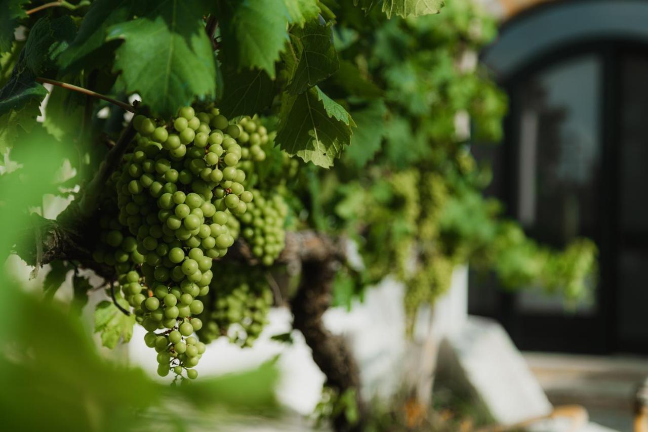 Masseria Agriturismo Il Sorriso Degli Ulivi - Dimora Di Charme Галиполи Екстериор снимка